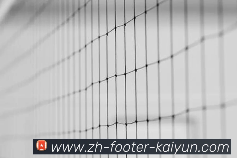 奖项图2
